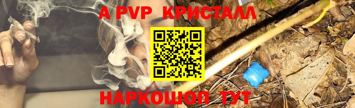 A PVP СК Белгород