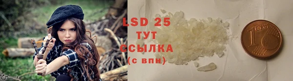 крисы Тотьма
