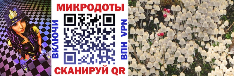 мега ссылка  Белгород  Псилоцибиновые грибы Psilocybe  купить наркотики сайты 