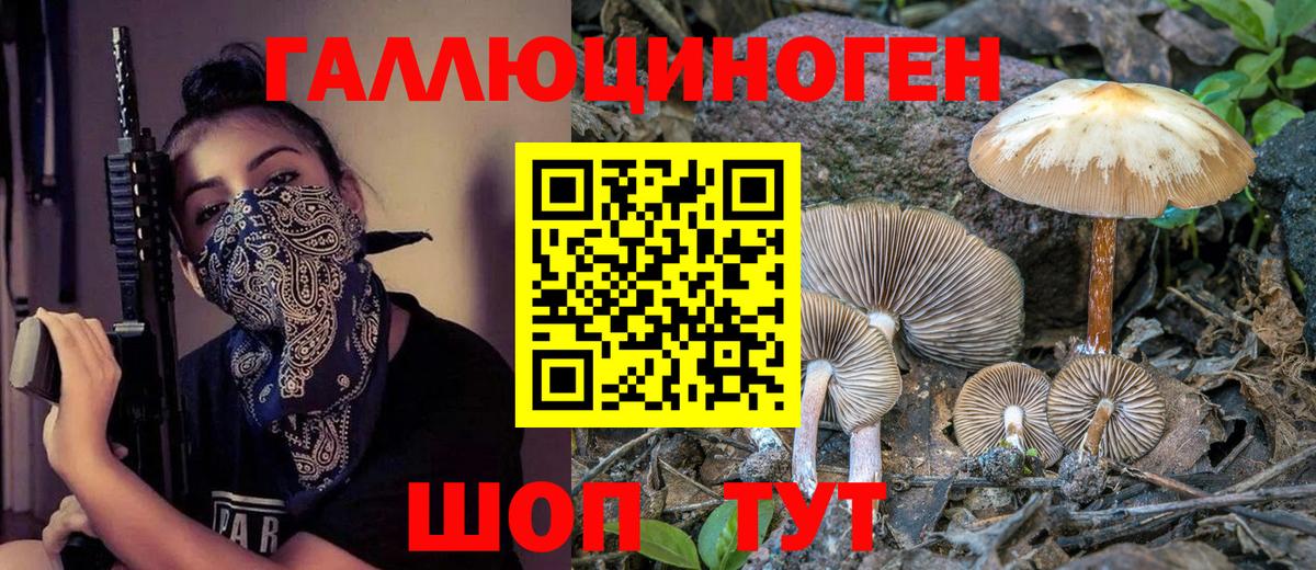 Псилоцибиновые грибы GOLDEN TEACHER Белгород