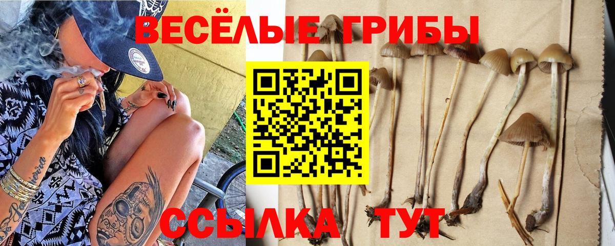 Псилоцибиновые грибы Psilocybe  Вход с VPN  Псилоцибиновые грибы GOLDEN TEACHER  Белгород 
