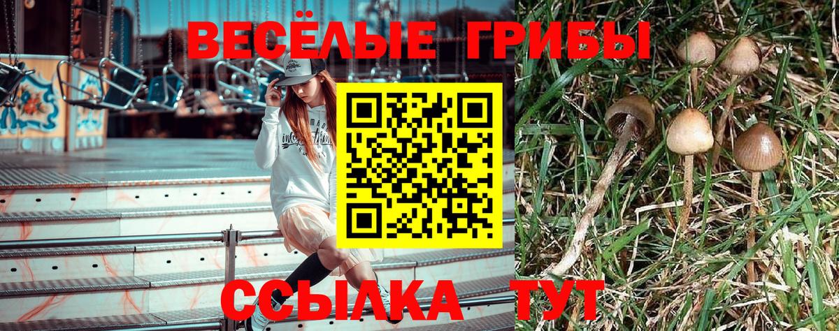 Галлюциногенные грибы мухоморы  Белгород 